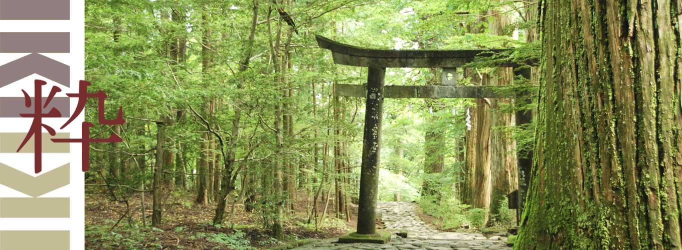 Japan wandeltocht Kumano iki Travels