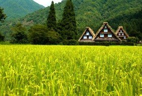 Compleet Japan reis shirakawago iki Travels