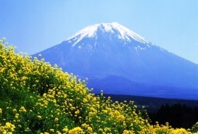 japan Mount Fuji 