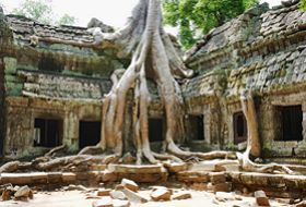 Cambodja Cultuur Ta Prohm iki Travels