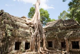 cambodja siem riep angkor wat boom