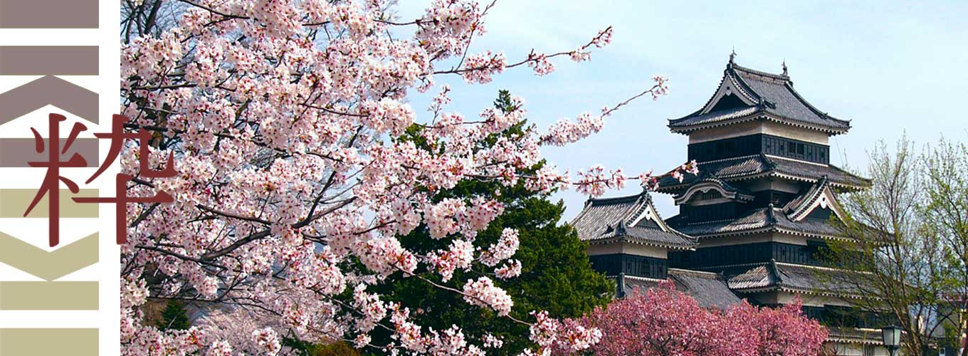 21 days Sakura Cherry Blossom Tour Japan Japan iki Travels