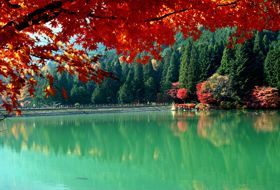 herfst reis Japan herfstkleuren iki Travels