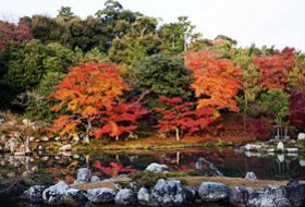 herfst reis Japan herfstkleuren iki Travels