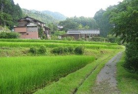 Japan wandeltocht reis iki Travels kiso vallei bouwsteen