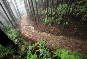 hiking the Kumano Kodo in Japan iki Travels