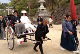 sakura lentebloesem reis Japan miyajima iki Travels
