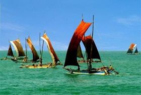 reis Sri Lanka totaal Negombo iki Travels