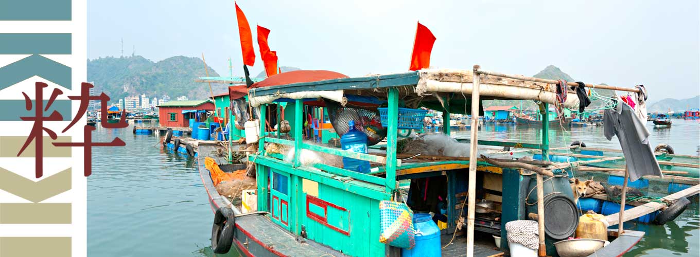 vakantie Vietnam iki Travels