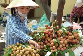 Vietnam en Cambodja reis saigon iki Travels