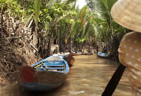  Vietnam Mekong Delta Palm moeras 