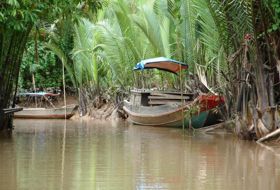  Vietnam Mekong moeras