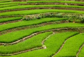totaal Vietnam reis hoi an iki Travels totaal Vietnam reis hoi an iki Travels