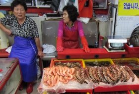 zuid korea busan vismarkt