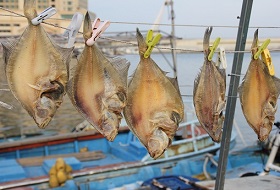  Zuid Korea gedroogde vis 