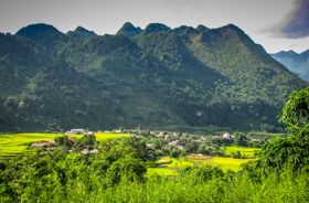 Vietnam Fotografiereis Sapa Rijstvelden