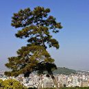 Shikoku pelgrimstocht Japan