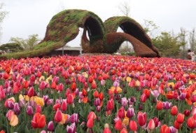 Zuid Korea Suncheon Gardens