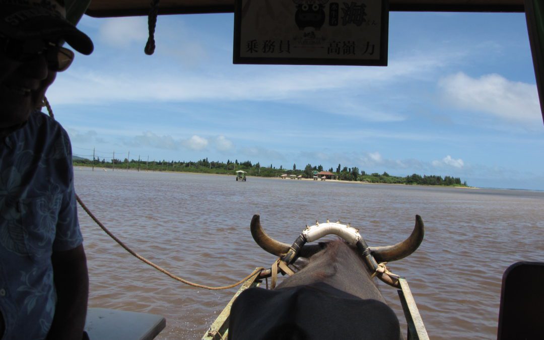 Okinawa eilanden in juni door Marco