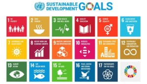 duurzame Olympische spelen Tokyo 2020