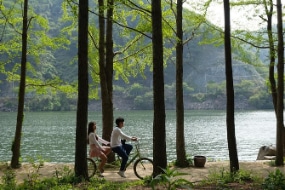 Nami Island Zuid-Korea