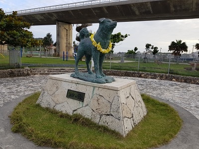 Okinawa Aka Hondje