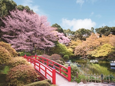 Japan Tokyo New Otani Hotel Garden sakura