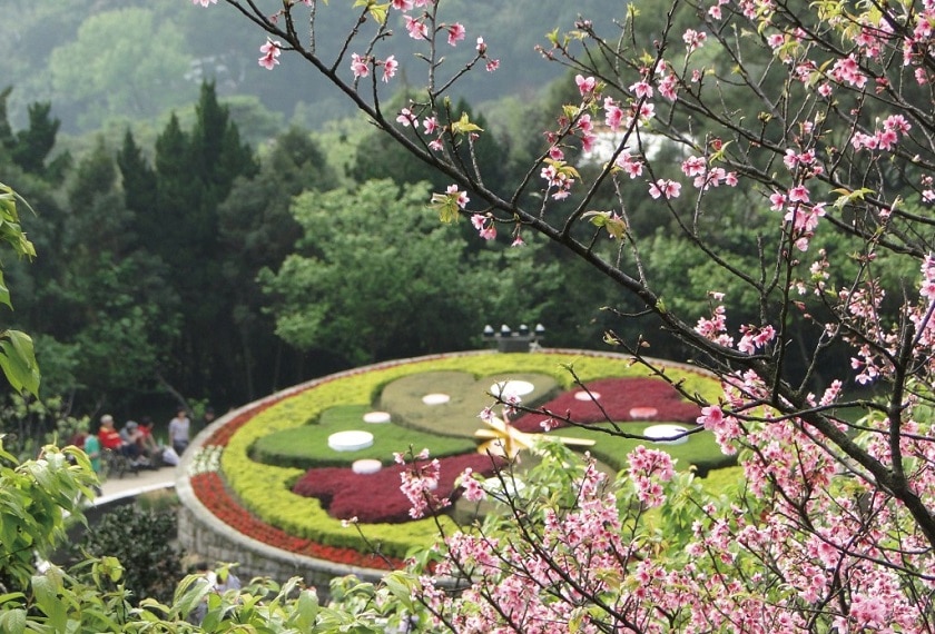 Yangmingshan Taiwan Taipeyi groot