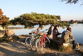 Arashiyama Kyoto Fietstocht Excursie