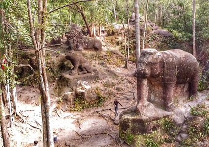 Olifant Beeld Jeep Tour Cambodja