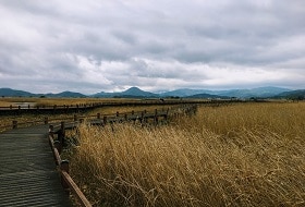 Zuid Korea, Suncheon Ecological Park 5