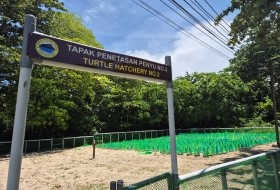 Borneo Turtle Hatchery