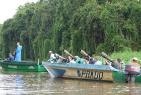 Borneo Fotograven Close Up
