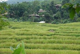 Vietnam Bouwsteen velden