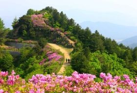 iki Travels Zuid-Korea Jirisan