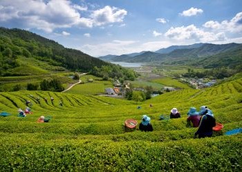 Iki Travels Zuid Korea Bestemmingen Jeollabuk-do