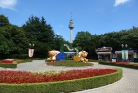 Iki Travels Zuid Korea Daegu & Ulsan (2)