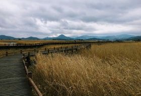 Iki Travels Zuid Korea Suncheon Ecological Park 