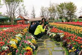 Iki Travels Zuid Korea Suncheon Gardens 