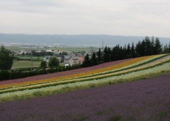 iki Travels Japan Bestemmingen Hokkaido