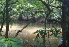 iki Travels Japan Bestemmingen Iriomote