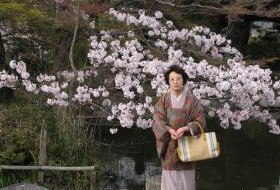 iki Travels Japan Bestemmingen Kersenbloesem
