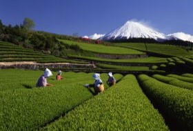 iki Travels Japan Bestemmingen Mount Fuji