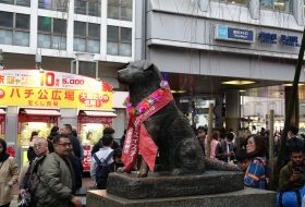 iki Travels Japan Bestemmingen Tokyo Hachiko