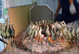 Iki Travels Japan Vragen (2)
