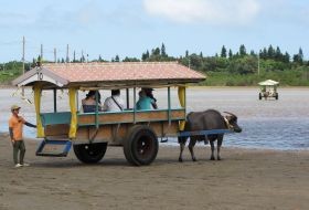 Iki Travels Japan Vragen (3)